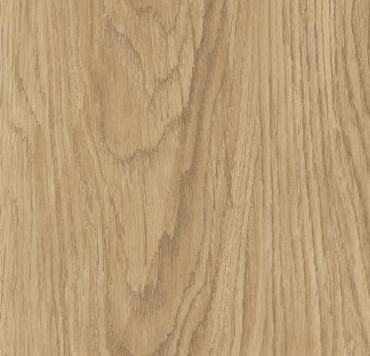 Classic natural oak