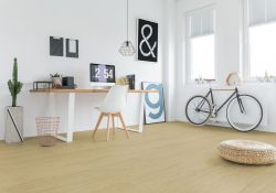 MF71922_buche_Raum_web-4c9fdfb3